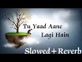 Tirchi Topi Wale Sad Version Slowed Reverb Old Song Amit Kumar Sapna Mukharji