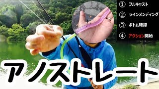 一緒に練習しよう【サカナちゃんの釣り動画】アノストレートでボトスト