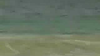 Wipe Out - Raimundos