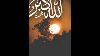 Download lagu yang cinta komen aku cinta Allah SWT komen ya #allahﷻ #shortvideo #pypシ mp3