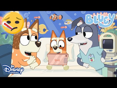 Hastalık😓 | Bluey | Disney Kids Türkiye