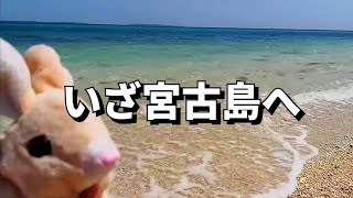 【座敷童子ンち】近づく宮古島·一体どんな旅に？【まるで世にも奇妙な物語】ユーチューバー、幽霊、パワースポット、オカルト、ホラー、怪談、物語、スピリチュアル、座敷わらし、パワースポット