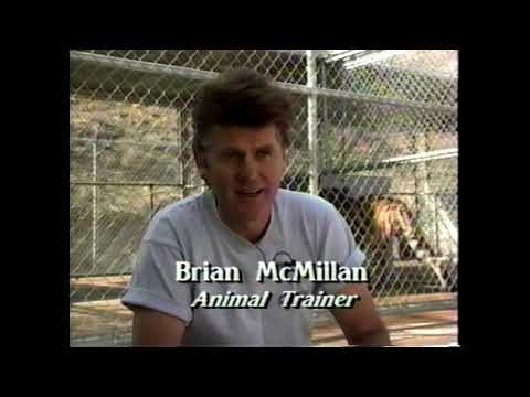 The Making of Beastmaster 2 (1991)