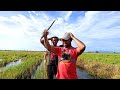 EP1368 Tahan Taut Haruan