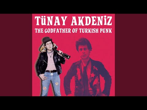 Niçin Seni Seviyorum (1976)