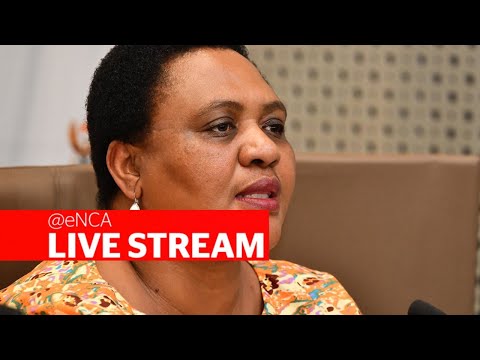 Minister Thoko Didiza on the release of state land