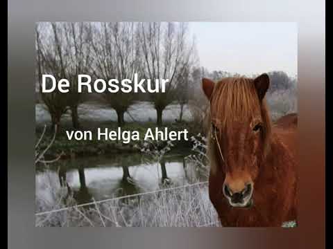 De Rosskur - von Helga Ahlert