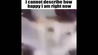 Cover art for goofy ahh cat