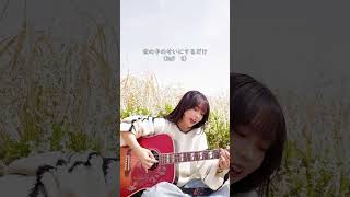 この曲知ってる？cap 0🥹4月18日はワンマンライブ☺️コメントにてリクエスト募集中です！#桑田佳祐#明日晴れるかな#歌ってみた#cover #弾き語り#シンガーソングライター#小林未奈