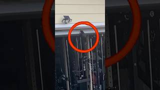 Testing & Reviewing My Current Home Gym Setup – What’s Coming Next!