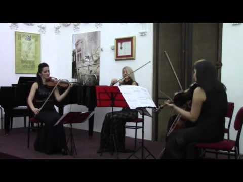 Georges Bizet - Carmen - Habanera - Gudački kvartet MISS
