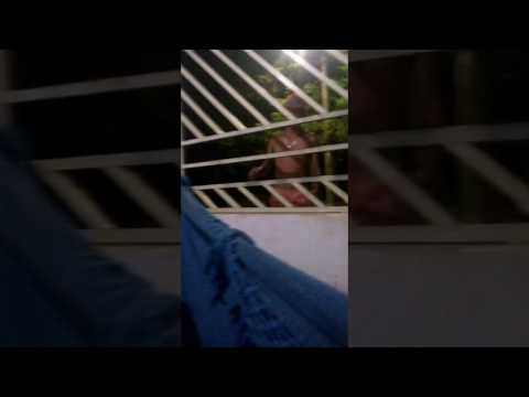 Morte ao vivo..cenas fortes..