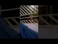 Morte Ao Vivo Cenas Fortes