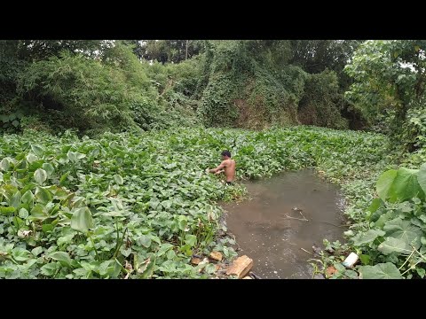 SE03EP128 - HINALWAT ang WATER LILIES at HINARANGAN ang MANHOLE | San Pablo City, Laguna