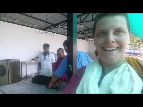 The Story of Zuni the Street Dog