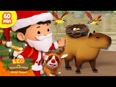 Witness21 Editor  2024 12 14