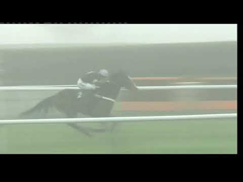 2009 Cheltenham Collection Novice Chase