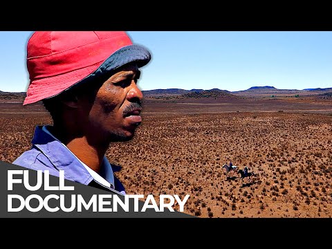 Leben am unwirtlichsten Ort der Welt: Karoo-Cowboy | Kostenlose Dokumentation