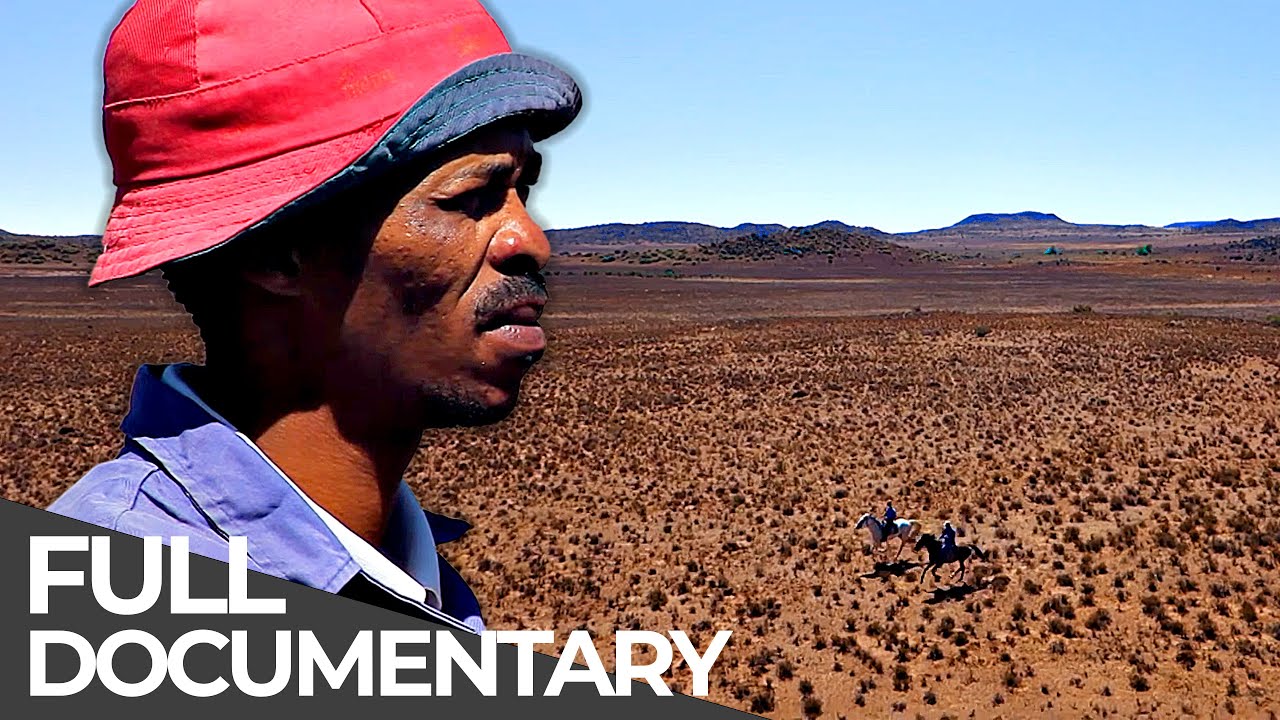 Karoo Cowboy