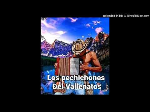 La Perra Los Pechichones Del Vallenatos