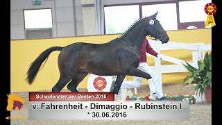 Video of Fahrmaster