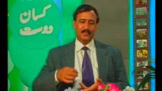 Phal ki makhi ya  Fruit Fly ka control  Dr.Ashraf Sahibzada