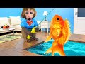 Monkey Baby Bon Bon Goes Fishing And Bathes With Ducklings In The Swimming Pool