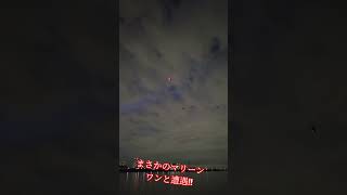 釣りしてたらマリーンワンと遭遇！