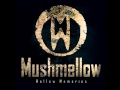 Mushmellow-Hollow Memories 