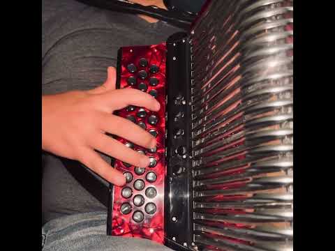 Te vi bonita - Acordeón Hohner corona III N