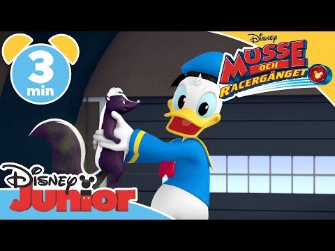 Musse och Racergänget | Kalle och skunken - Disney Junior Sverige