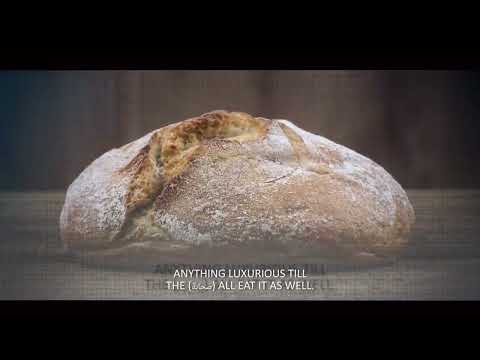 These sahaba stories will make you cry|Islamic stories|Muhammad saad