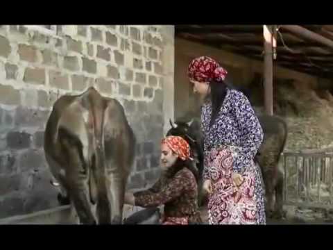 Anna  Xachatryan    taran-taran