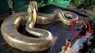 7 Animals You'll Be Glad Are Extinct