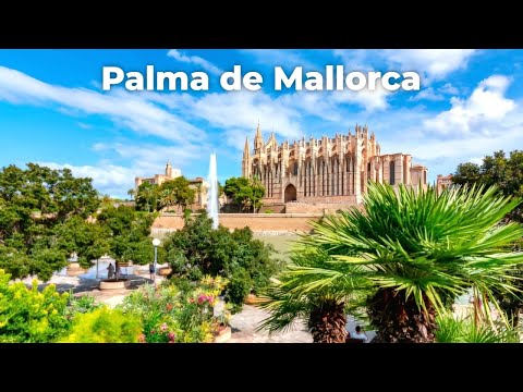 súlycsökkentő tábor mallorca