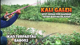 Download lagu STRIKE TAK TERDUGA! Mancing Nutul di Kali Galeh Dapat Nila Babon Pakai Umpan Roti Klik! mp3