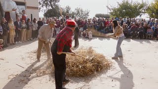 VOTV - La Festa de la Mongeta del Ganxet es podrà  veure divendres vinent a les 20:00 a VOTV