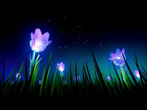 10 Hours Relaxing Sleep Music 🎵 Stress Relief Music, Insomnia, Calming Sleep Music (Lavender)