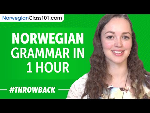 Norwegian Grammar in 1 Hour