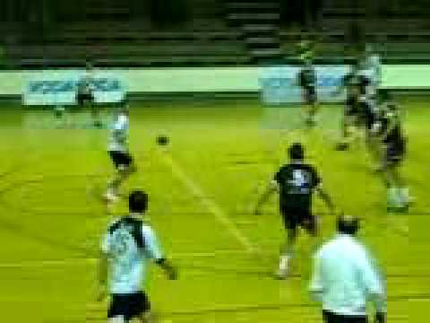 Golmani  Partizan   Metaloplastika 28 29 13 17