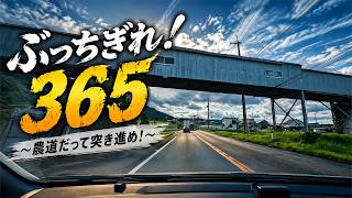 動画のサムネイル