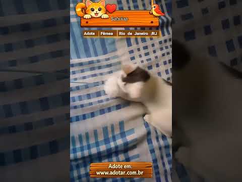 Vídeo de Sabrina