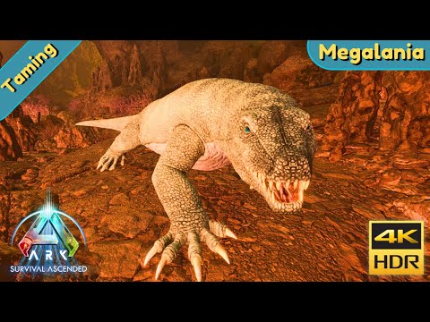 ARK Survival Ascended : Tame a Megalania