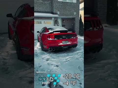 Thumbnail for -20°C Mustang cold start ❄️ #automobile #coldstart #winter #mustang by Automobile, Car