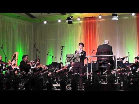 hummel 2. josa malich