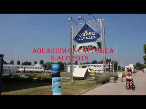 Aquarium of Cattolica 8 aug 2018