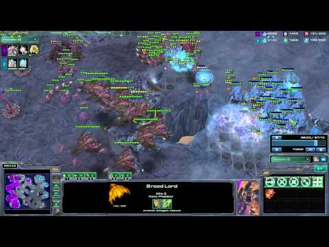 (Z) Roof vs. (P) ATSky ZOTAC CUP game 2 2/2