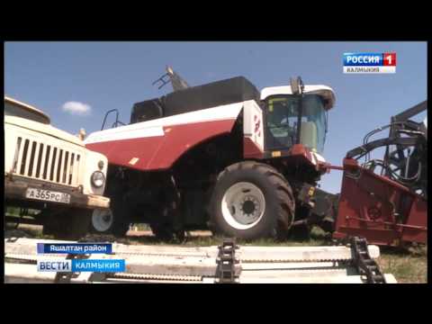 Вести «Калмыкия»: выпуск 02.06.2017 на калмыцком языке