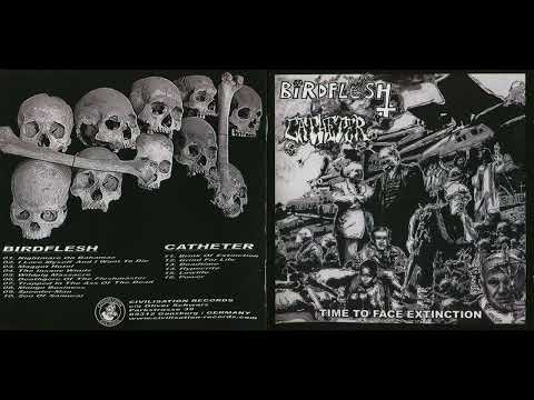 Birdflesh / Catheter – Time To Face Extinction (2004, Split) [Grindcore]