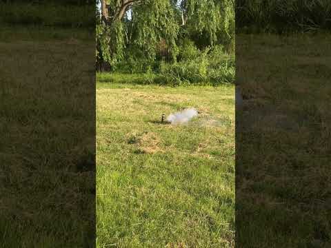 Petardo King Kong Trozo #pirotecnia